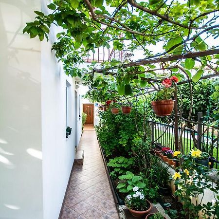 Apartments Lea Porec Exterior photo